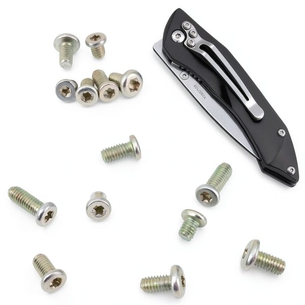 100pcs Pocket blade knife handle screws,Knife Pocket Clip Screw,Tactical Survival Knife Screw,EDC folding knives hilt fasteners,shaft pivot pin rivets,M2.5 Machine Screws,Stainless Steel,4 Type-5
